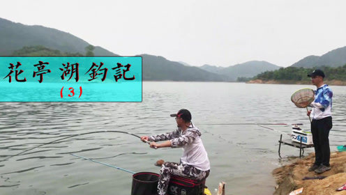 户外老曹 不上大鲤鱼就要喝湖水，老曹和白条玩大了 [视频]