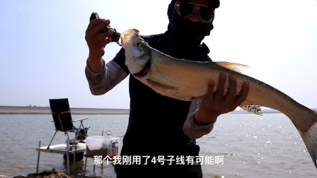 钓鱼维 3米水深钓翘嘴，钓底还是钓浮 [视频]