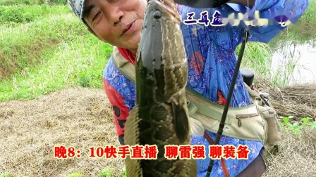 三耳鱼 黑鱼世界 2020夏季雷强之九 [视频]