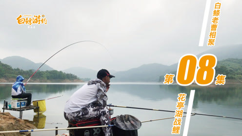 白条杀手 白鲦老曹大战花亭湖,谁输了要罚喝湖水 [视频]