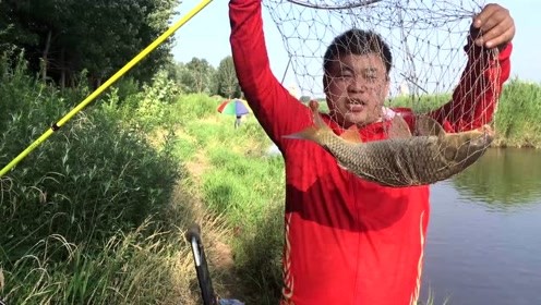 宝峰钓鱼 宝峰用玉米粒钓野河鲤鱼连杆不断不断 [视频]