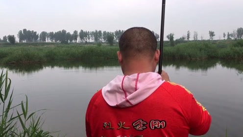 宝峰钓鱼  这个季节野河钓鲤鱼还是用玉米粒比价好 [视频]