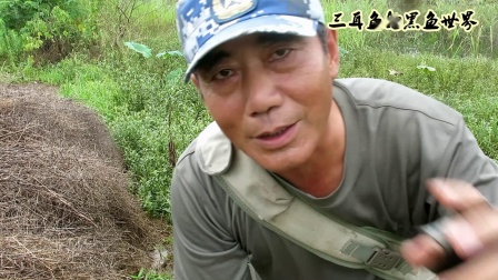 三耳鱼的黑鱼世界 2020夏季雷强之十三 [视频]