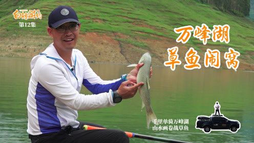 白条杀手 万峰湖（下）转战深水回湾，遇草鱼疯狂 [视频]