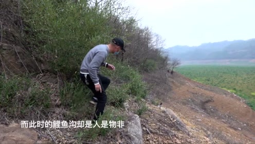 白条杀手 去年这里还是汪洋一片，再次来却没水了 [视频]