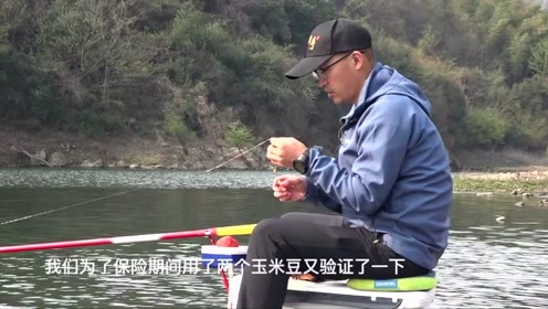 白条杀手  野钓调漂关键这几步，你要知道 [视频]