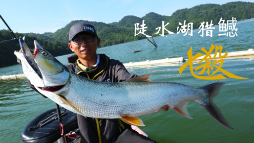 DNE去路亚 鳡鱼，一起欢乐掐鱼呀 [视频]