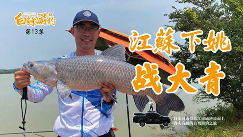 白条杀手 下姚水库，鱼情太好草鱼闹窝，连上大青 [视频]
