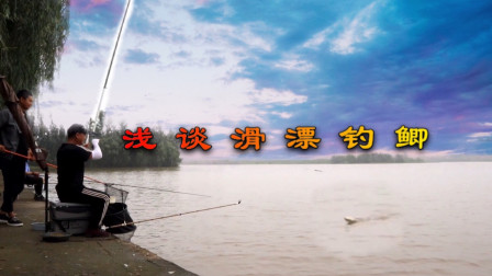 钓鱼维 浅谈滑漂钓鲫鱼，气温水深饵料状态调整 [视频]