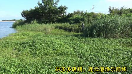 三耳鱼的黑鱼世界 2020夏季雷强之十六 [视频]
