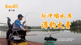 白条杀手 江苏新冲坝，浮钓鲢鳙无果，惨遭大青鱼闹窝 [视频]