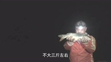 宝峰钓鱼 玉米粒夜钓水库，收获还是可以的两条鲤鱼 [视频]