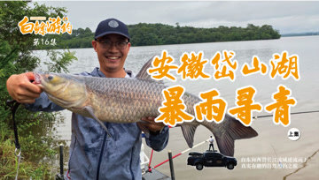 白条杀手  第16集-岱山湖青鱼正片（改） [视频]