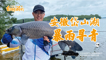 白条杀手  暴雨再战岱山湖，这里的大青鱼饿坏了 [视频]