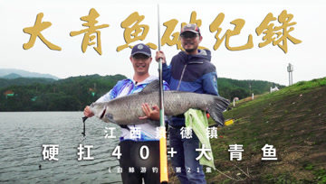白条杀手 江西巅峰之战，白条老曹硬扛40+大青鱼 [视频]