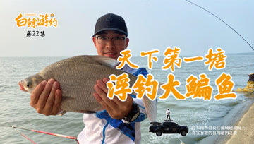 白条杀手 22集-安丰塘鳊鱼上 [视频]