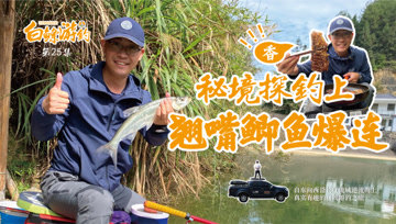 白条杀手 还没找到底就中鱼，翘嘴钓完直接红烧真香  [视频]