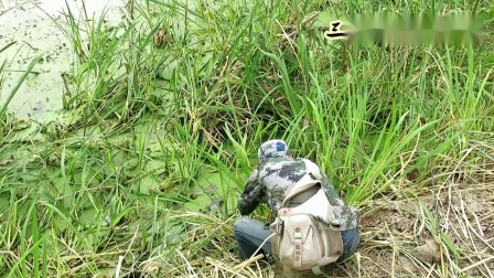 三耳鱼的黑鱼世界 2020年秋季雷强之十八 [视频]