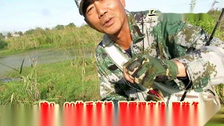 三耳鱼的黑鱼世界 2020年秋季雷强之二十 [视频]