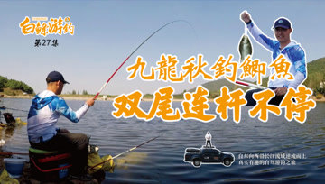 白条杀手  饵料状态这样调整后，疯狂连杆双尾大鲫鱼 [视频]