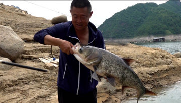 游钓中国第六季25集 水库抛竿浮钓鲢鳙 阵雨难挡巨物连竿 [视频]
