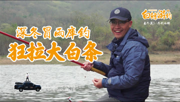白条杀手 寒冬冒雨狂拉大白条，冻得直哆嗦 [视频]