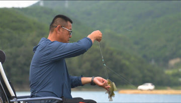 游钓中国第六季26集 初探泉州水库 罗非窝中连竿草鱼 [视频]