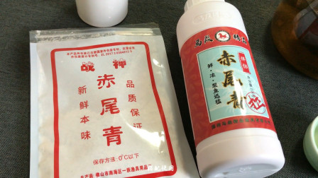 钓鱼维 冬季钓鲫鱼饵料，赤尾青拉饵效果非常好 [视频]