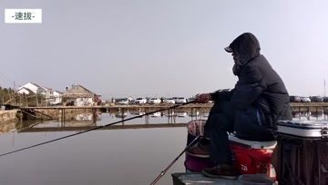 鲶鲤大杀手 钓鳊鱼翘嘴和大鳊鱼，送人都不要自己卖了 [视频]