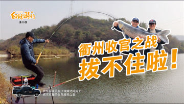 白条杀手  白条刚中鱼，龙那飞边青鱼就截口 [视频]