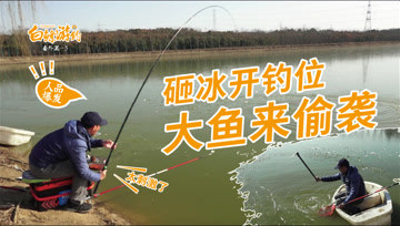 白条杀手 白条第1次用生命在钓鱼，渔获却让人兴奋 [视频]