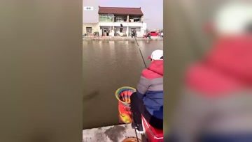 鲶鲤大杀手 钓滑口鱼涮口回锅鱼，老滑鱼连杆上真过瘾 [视频]
