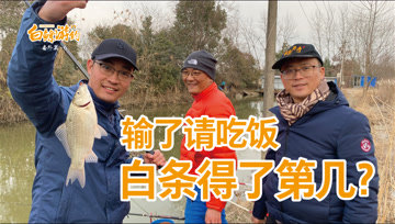 白条杀手  小河沟里的鱼太多了！三个人都能连杆 [视频]