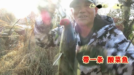 三耳鱼的黑鱼世界  2021年春季雷强之一 [视频]
