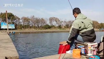 鲶鲤大杀手 春季钓回锅滑口鱼技巧，山美水美环境美  [视频]