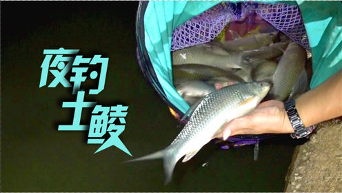 游钓中国第七第5集 沙井水库夜钓土鲮 [视频]