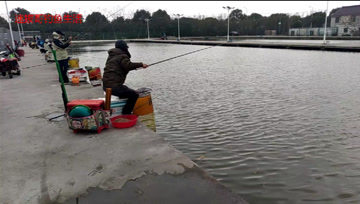 鲶鲤大杀手  浮钓鲤鱼饵怎么开好状态，如何调漂 [视频]