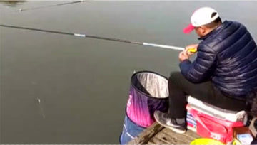 户外老曹 用蝉蛹和蚯蚓钓汪刺，到底哪个效果更好 [视频]