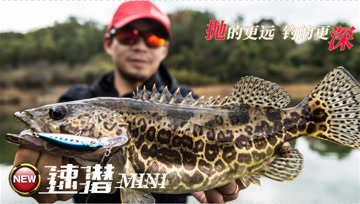 DNE去路亚 鳜鱼杀手，速潜mini [视频]