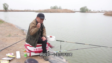 渔课堂 鱼饵状态怎么玩？看看鱼爱吃啥状态吧 [视频]