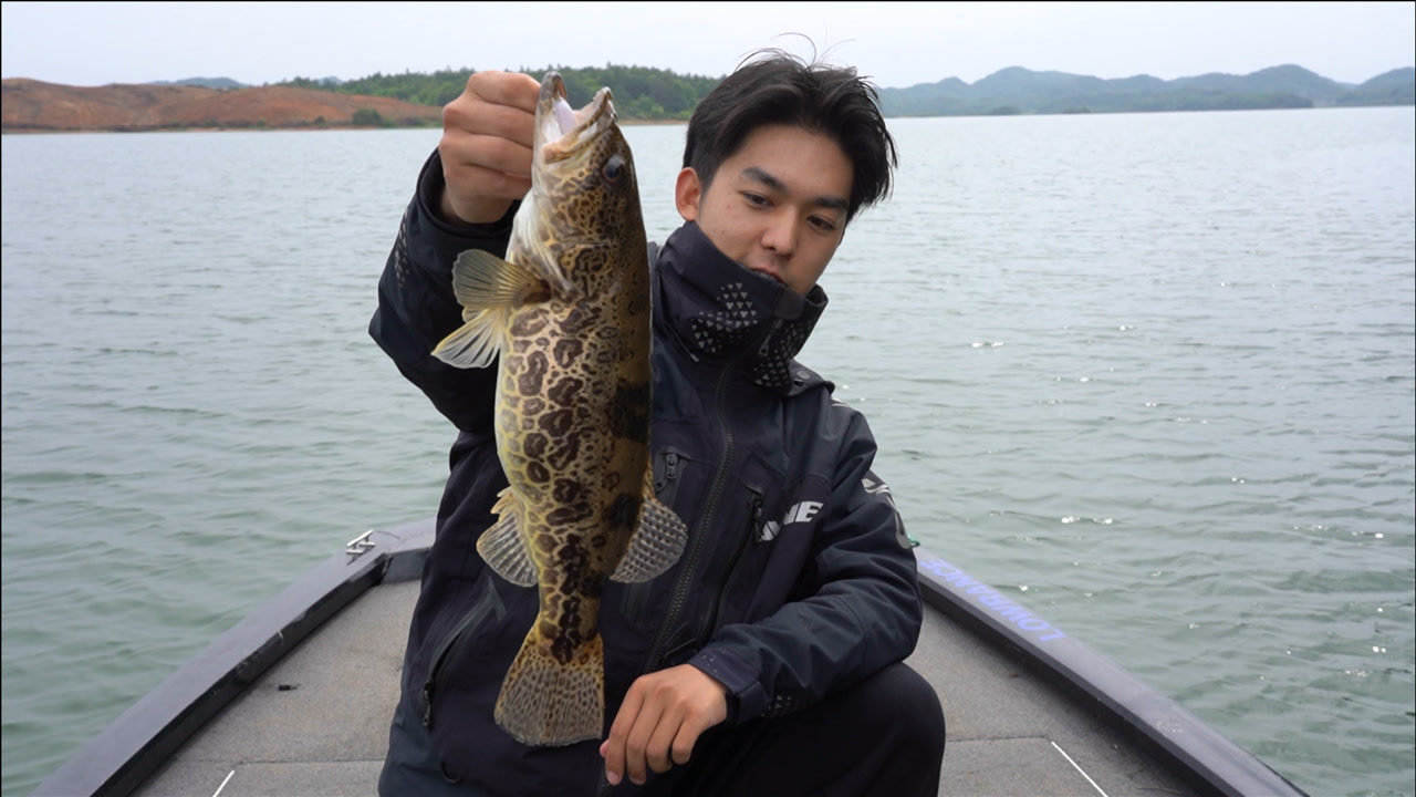 EWE路亚 又到一年鳜鱼季，飘逸虫作钓湖边野鳜 视频]