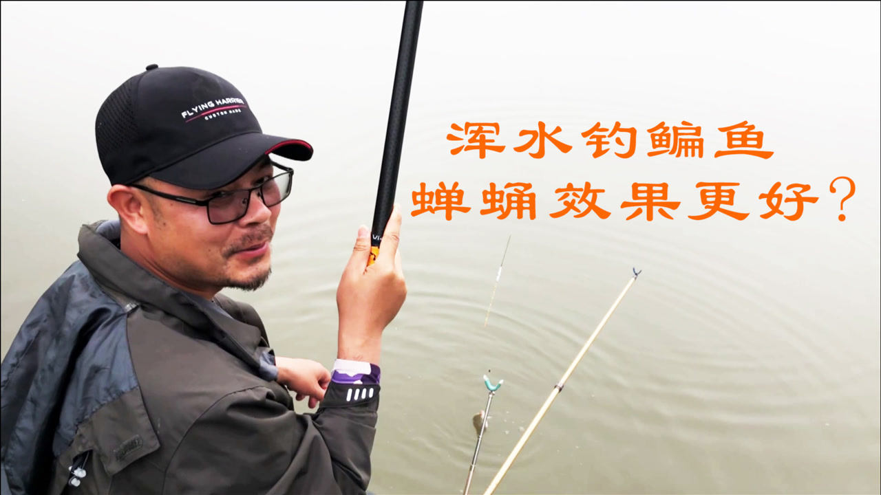户外老曹 老曹在浑水里钓鳊鱼，蝉蛹比玉米效果更好 [视频]