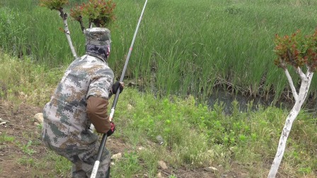 三本先生 河道水草处点钓黑鱼、三 [视频]