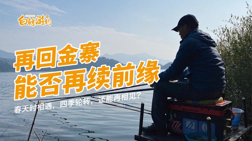 白条杀手 100斤螺蛳打窝守大青，白条罕见双竿齐下 [视频]