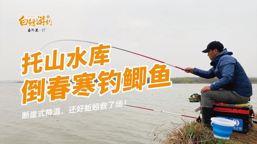 白条杀手 倒春寒选了个顶风钓位，冻得直哆嗦 [视频]
