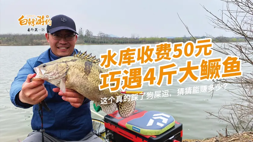 白条杀手 3000亩水域，钓到4斤煤气罐鳜鱼 [视频]