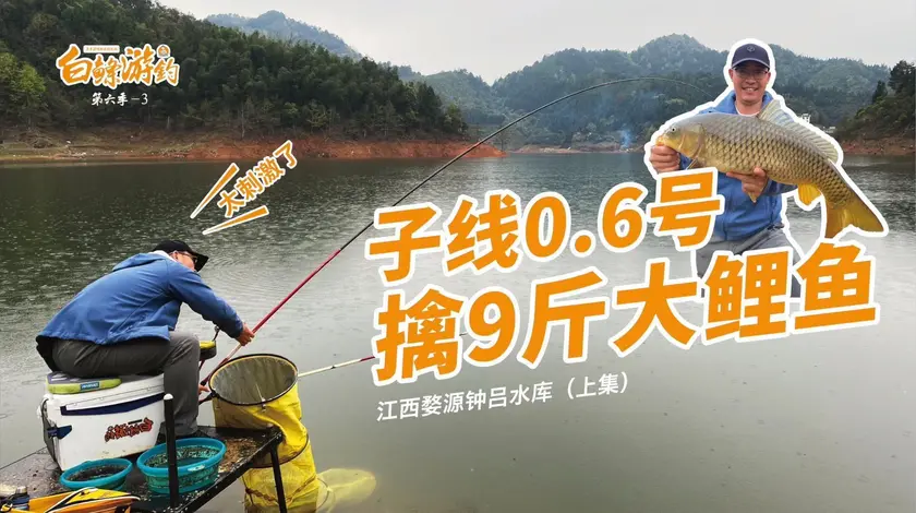 白条杀手 太刺激了，0.6的子线遭遇9斤大鲤鱼 [视频]