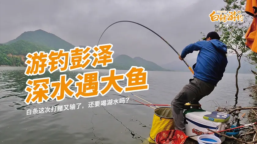 白条杀手 5000亩的大水库里，据说大鲫鱼有5斤重 [视频]