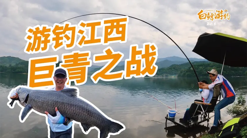 白条杀手 库战巨青太刺激了！白条差点被拖下水 [视频]