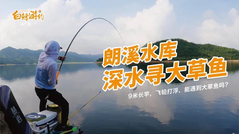 白条杀手 9米长竿飞铅打浮，就想盘水库里的大草鱼 [视频]